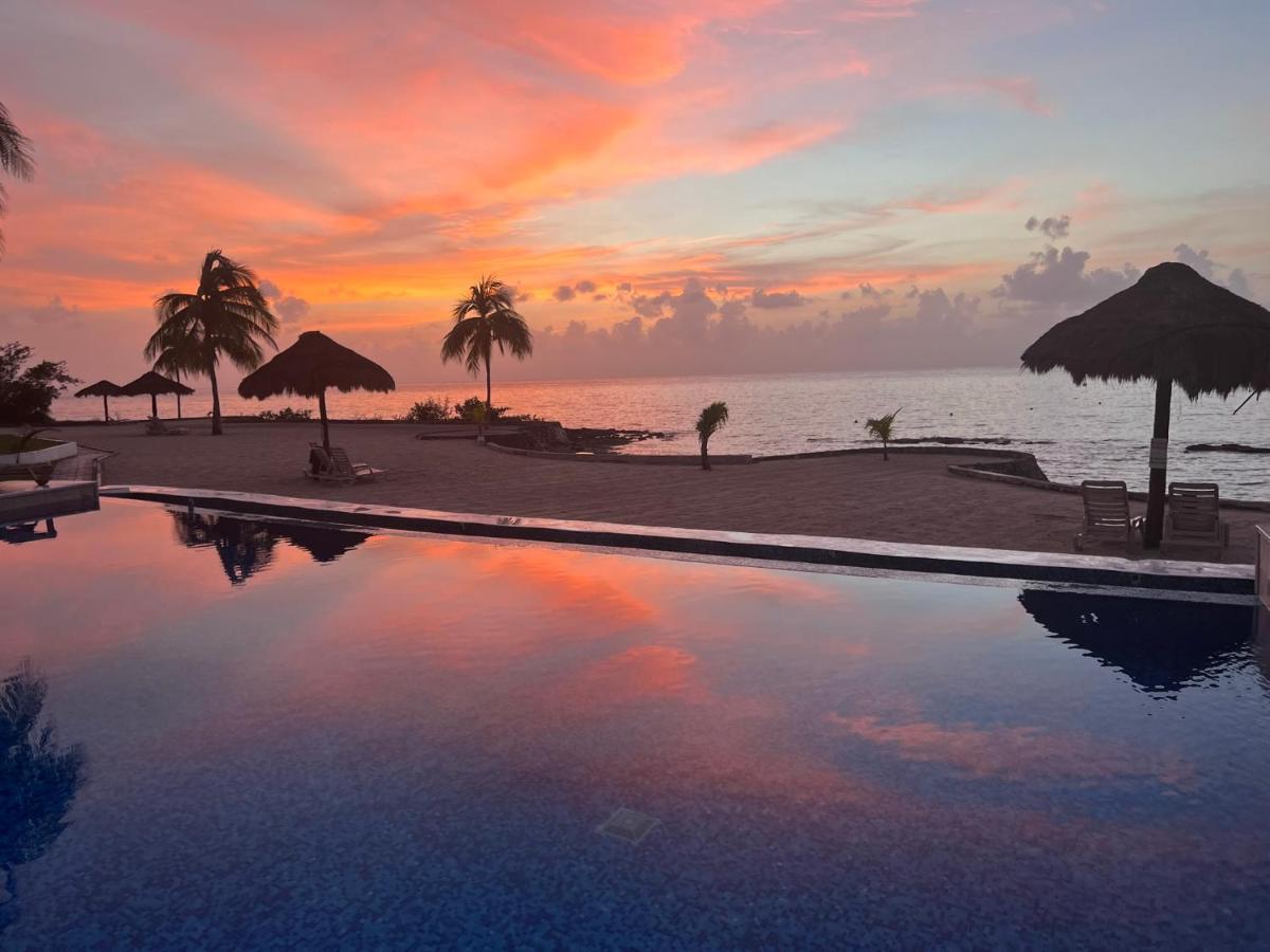The Queen Of Cozumel Beach House -Luxury Beachfront Villa- Million Dollars View Buitenkant foto