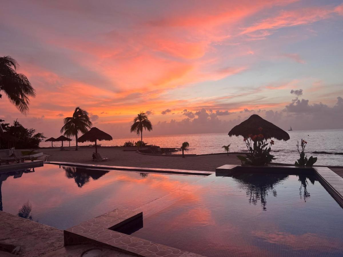 The Queen Of Cozumel Beach House -Luxury Beachfront Villa- Million Dollars View Buitenkant foto