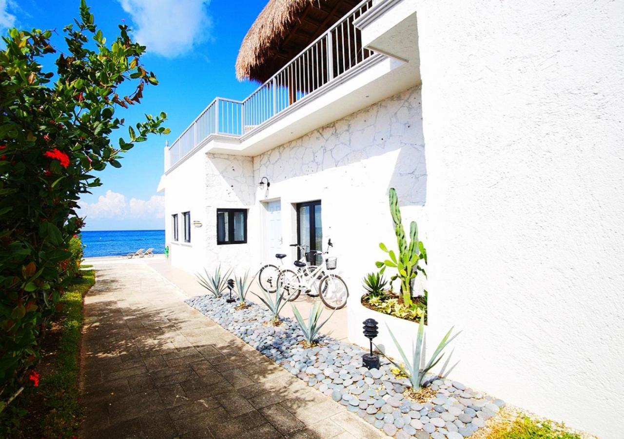 The Queen Of Cozumel Beach House -Luxury Beachfront Villa- Million Dollars View Buitenkant foto